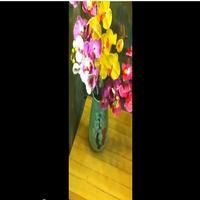 STAGE TUBE: Alice Ripley Flips/Sings 'Wish You Were Here' Video